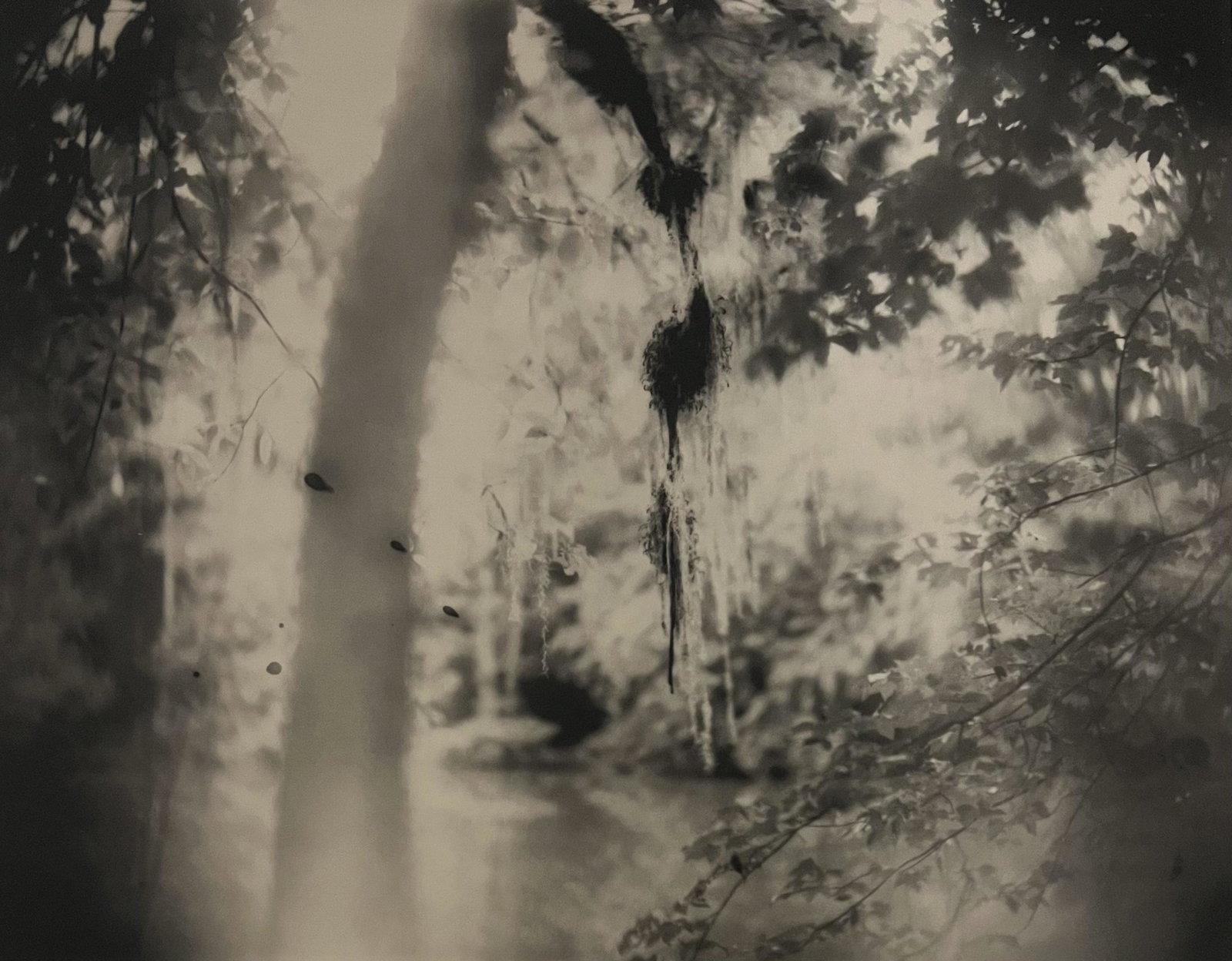Sally Mann, Deep South, Untitled (Three Drips) 1998: Photographer: Sally Mann is an American photographer, widely known for her large-format, black-and-white photographs. at first of her young children, then later of landscapes suggesting decay and deat