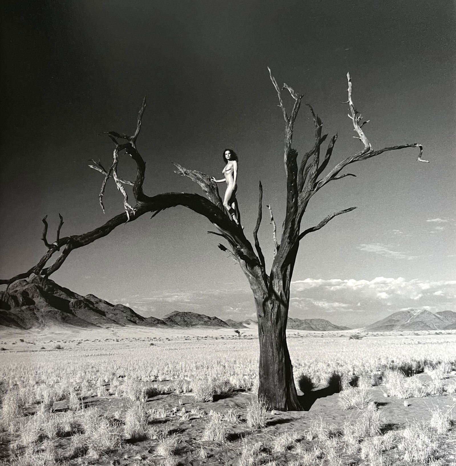 Marc Lagrange, Namib Tree, 2006: Photographer: Marc Lagrange was a Belgian photographer known for his nude portraits of female figures. Lagrange created dream-like and fantastical narrative pictures populated by beautiful nudes that