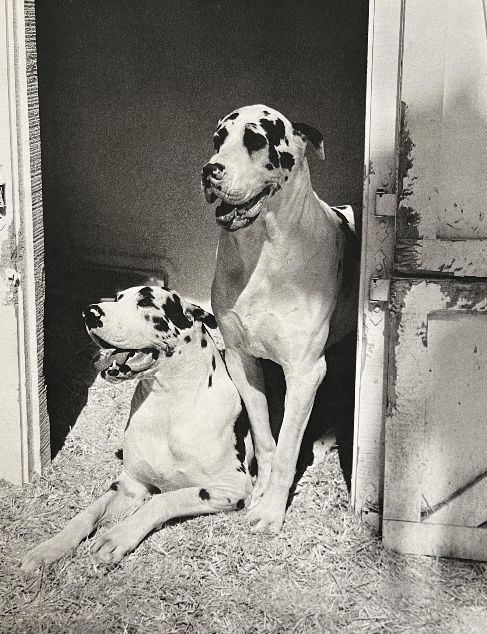 Bruce Weber, Untitled, 1988: Photographer: Bruce Weber (American, b. 1946) - internationally renowned American fashion photographer best known for his racy, erotically charged imagery. Weber has shot the ad campaigns of Calvin Kl