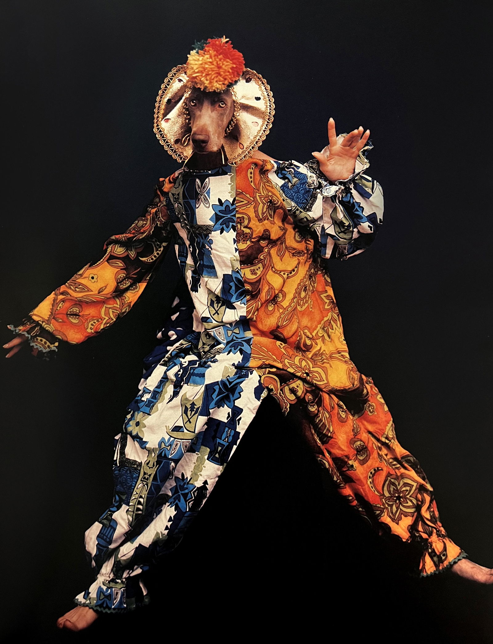 William Wegman, Clown: Photographer: William Wegman Subject/Title: Clown Type Of Print: Photogravure Date Of Print: 1994 Publisher: Library Of Congress Cataloging Approximate Image Size: 11 x 8 inches Mount Board Size Appro