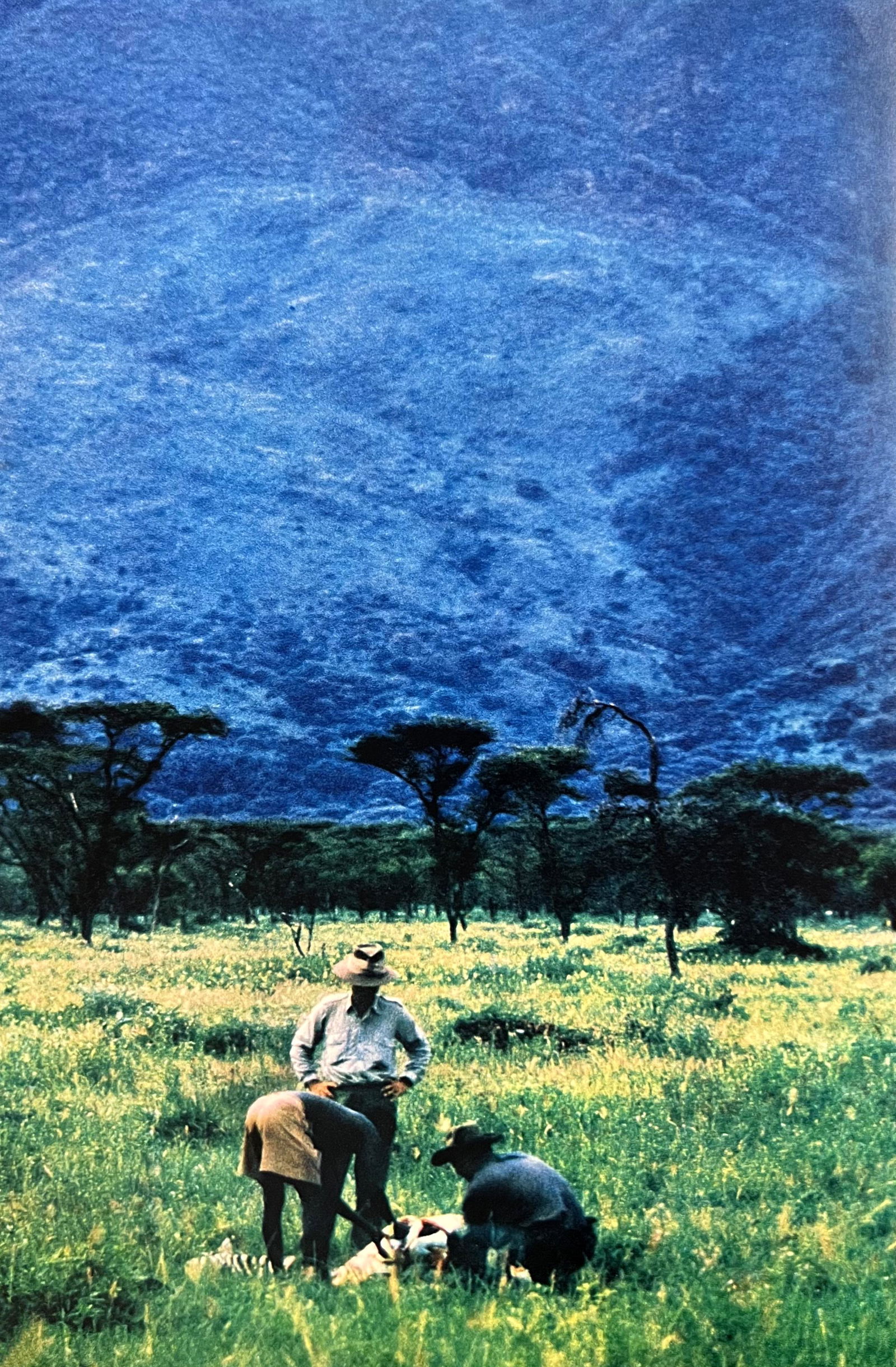 Peter Hill Beard, A Near World's Record Grant's Gazelle, The Biggest Percival Had Ever Seen, 1960s: Photographer: Peter Hill Beard (January 22, 1938 â€“ March 31 / April 19, 2020) was an American artist, photographer, diarist, and writer who lived and worked in New York City, Montauk and Kenya.