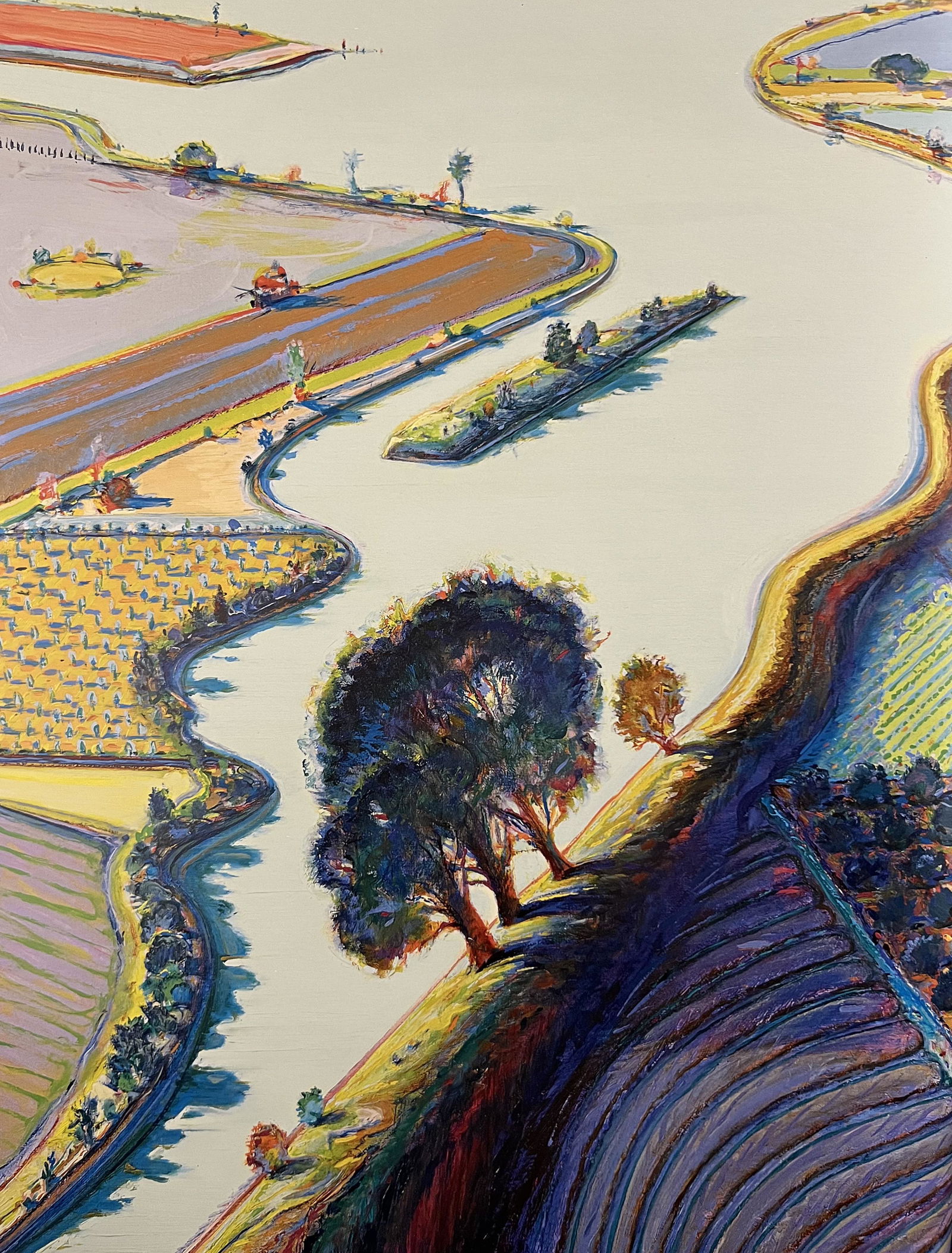 Wayne Thiebaud, Island River Farms, 1997 (1 of 1)