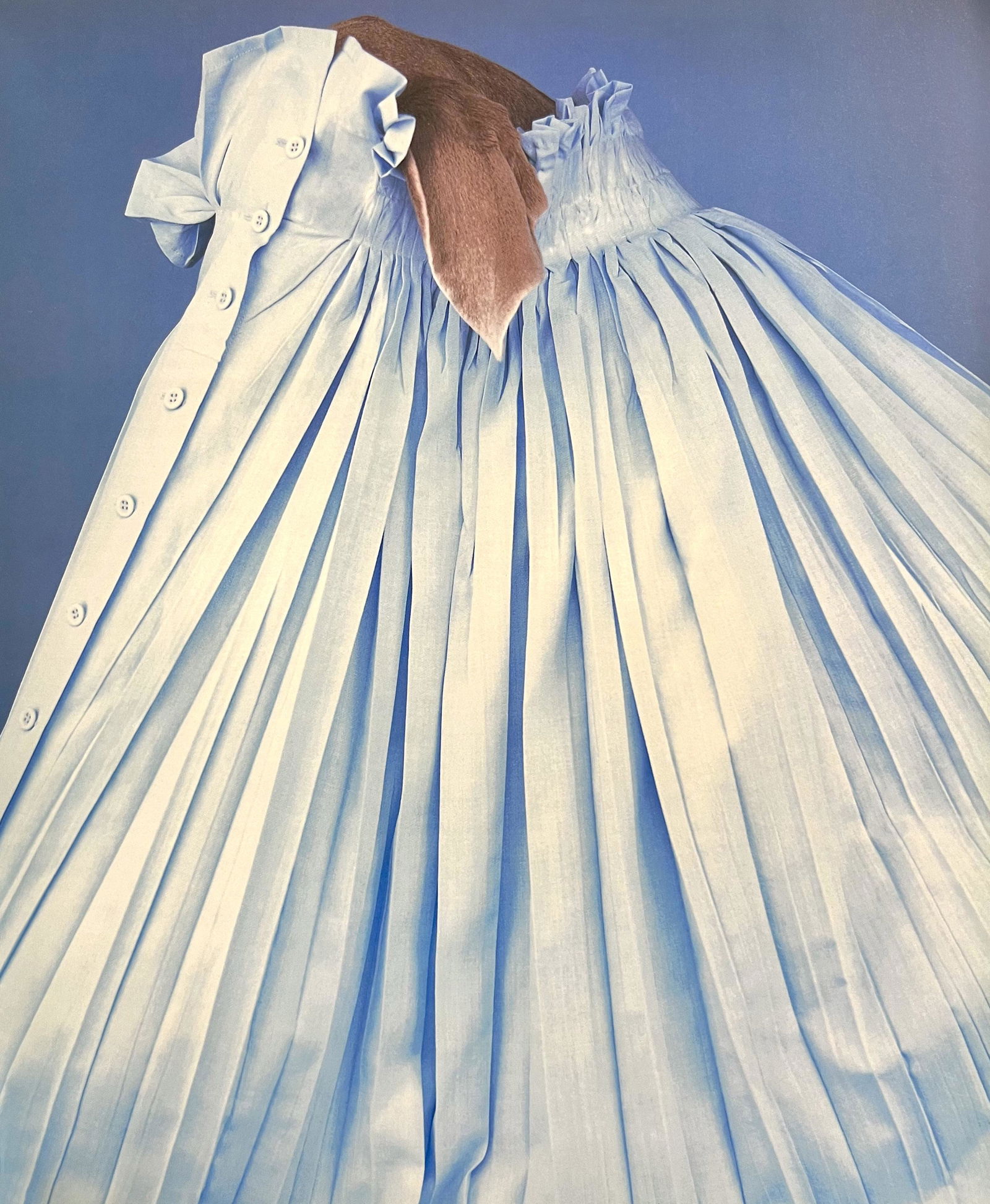 William Wegman, Summer Cottage, 1999 (1 of 1)