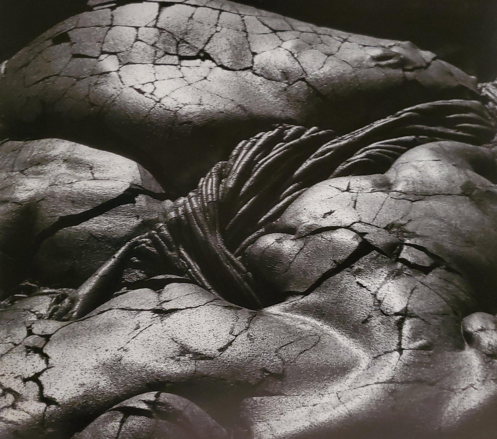 Brett Weston, Lava 1985: Photographer: Brett Weston, American, 1911 - 1993, developed his own vision and pursued a celebrated photographic career, beginning at 13 and continuing until the end of his life. He started work in 1