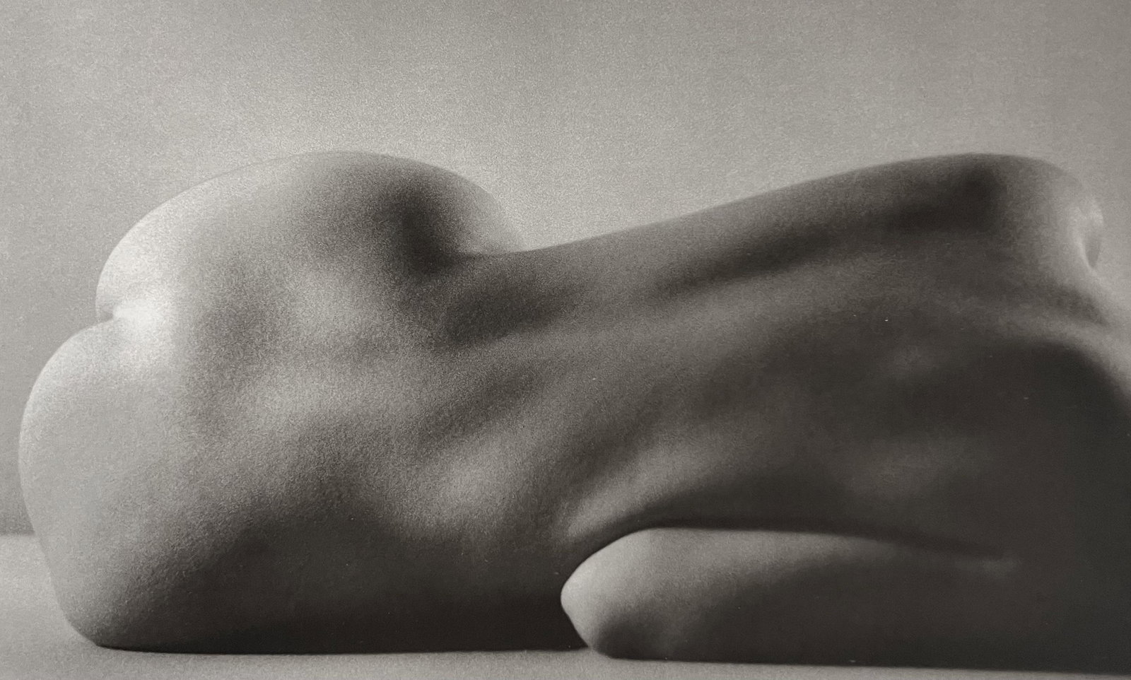 Ruth Bernhard, Curvilineal, 1971 (1 of 1)