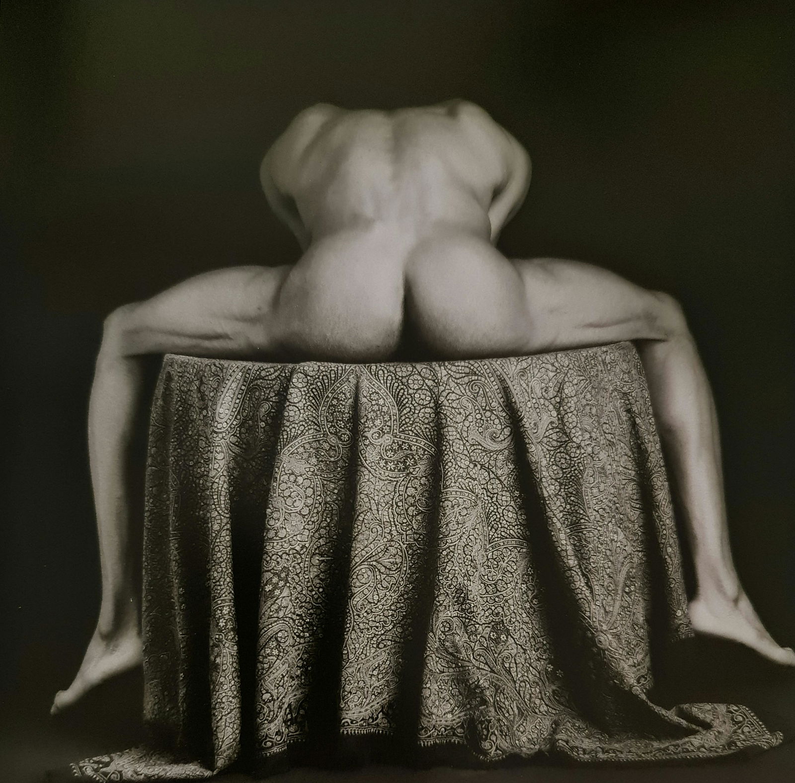 Robert Mapplethorpe, Carlton, 1988 (1 of 1)