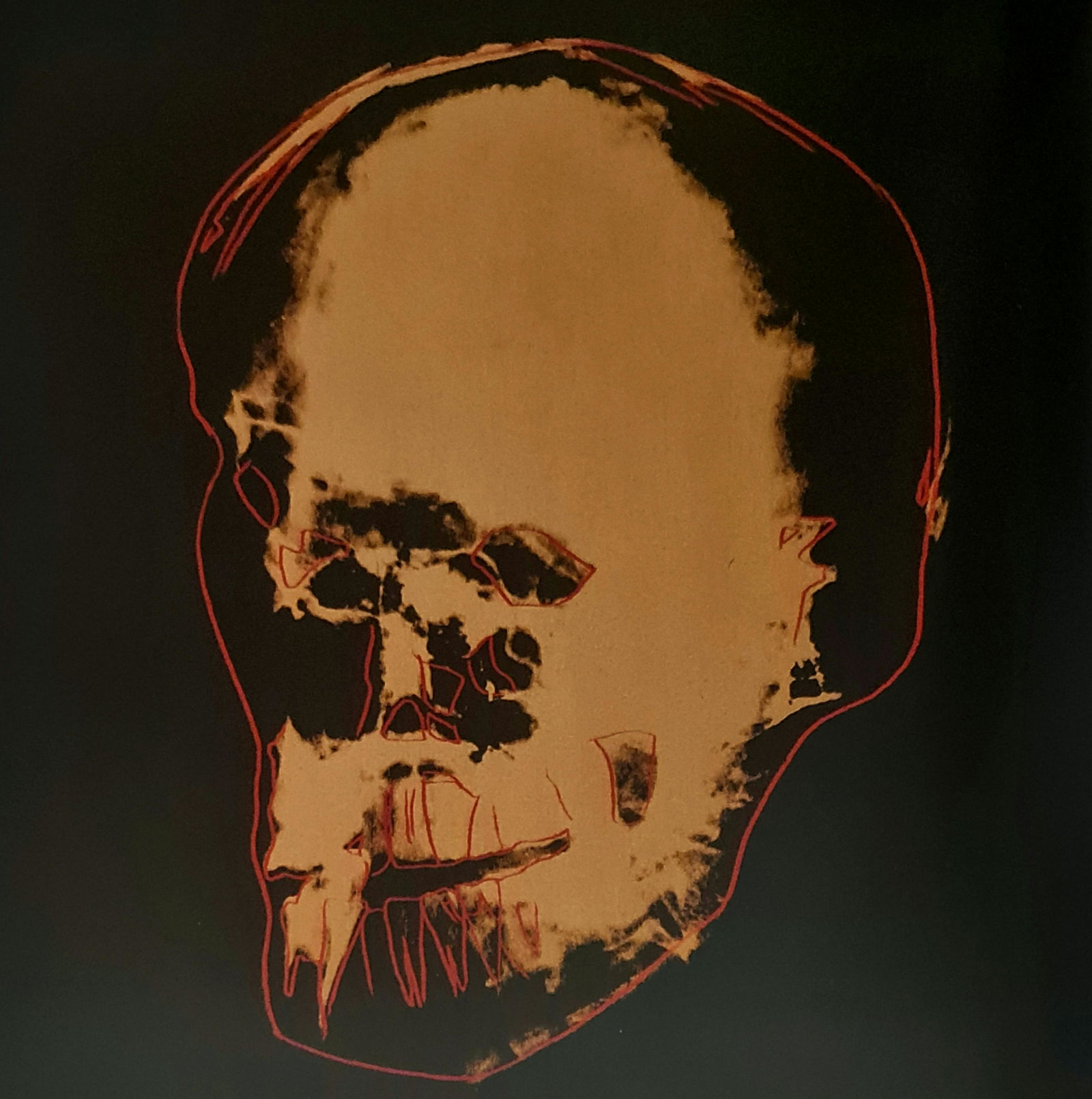 Andy Warhol, Philip's Skull, 1985 (1 of 1)