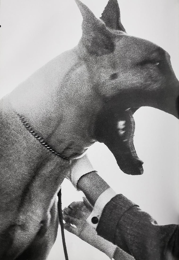 Richard Avedon, Bruno, New York studio, 1949: Photographer: Richard Avedon (American, 1923 - 2004) - internationally renowned portrait and fashion photographer, one of the most important and influential photographers during the last half of the t