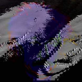 Steve Kaufman EINSTEIN 2001-2007: Hand Painted with Embellishment by the Artist on Canvas. Hand signed and numbered by the artist on verso. AP edition of 50. Canvas is not stretched. Artwork is in excellent condition. Original Steve K
