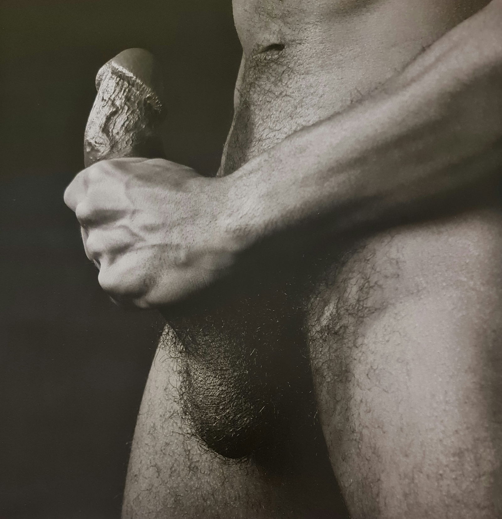 Robert Mapplethorpe, Cock, 1985 (1 of 1)