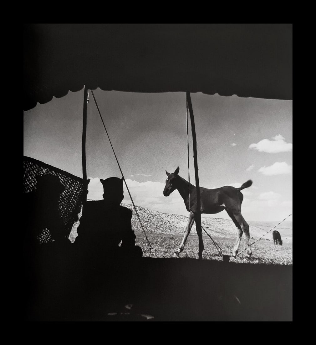 Horst P. Horst, Colt And Silhouette Of Two Men, 1949: Photographer: Horst P. Horst, August 14, 1906 â€“ November 18, 1999), was a German-American fashion photographer. Horst is best known for his photographs of women and fashion, but is also recogni