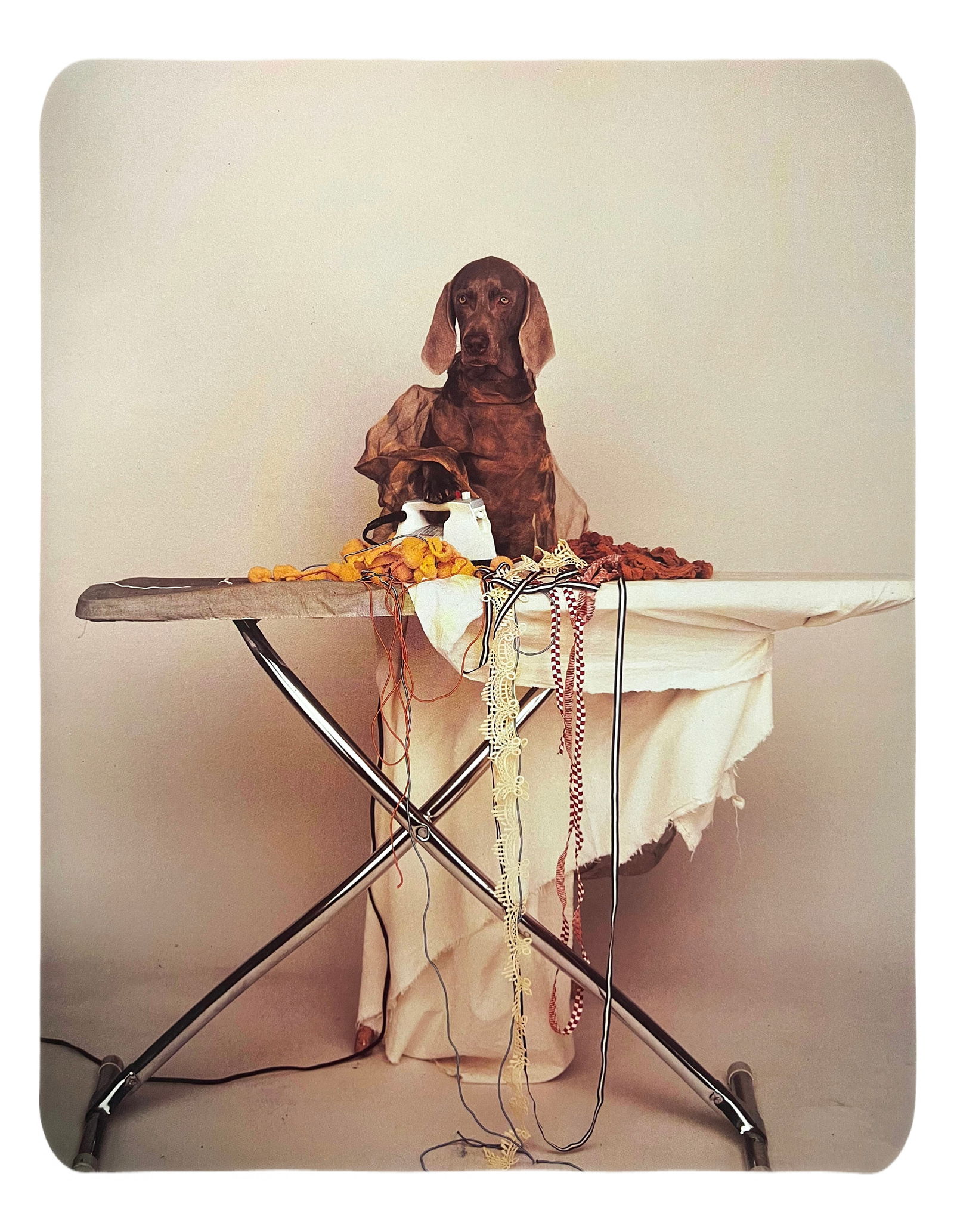 William Wegman, Time To Iron The Clothes (1 of 1)