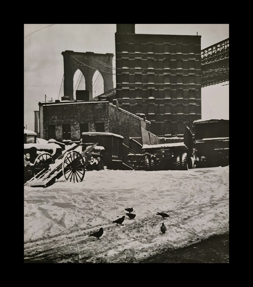 AndrÃ© KertÃ©sz, Birds in the snow, New York, 1947 (1 of 1)
