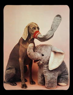 William Wegman, Elephant: Photographer: William Wegman Subject/Title: Elephant Type Of Print: Photogravure Date Of Print: 1994 Publisher: Library Of Congress Cataloging Approximate Image Size: 11 x 8 inches Mount Board Size Ap