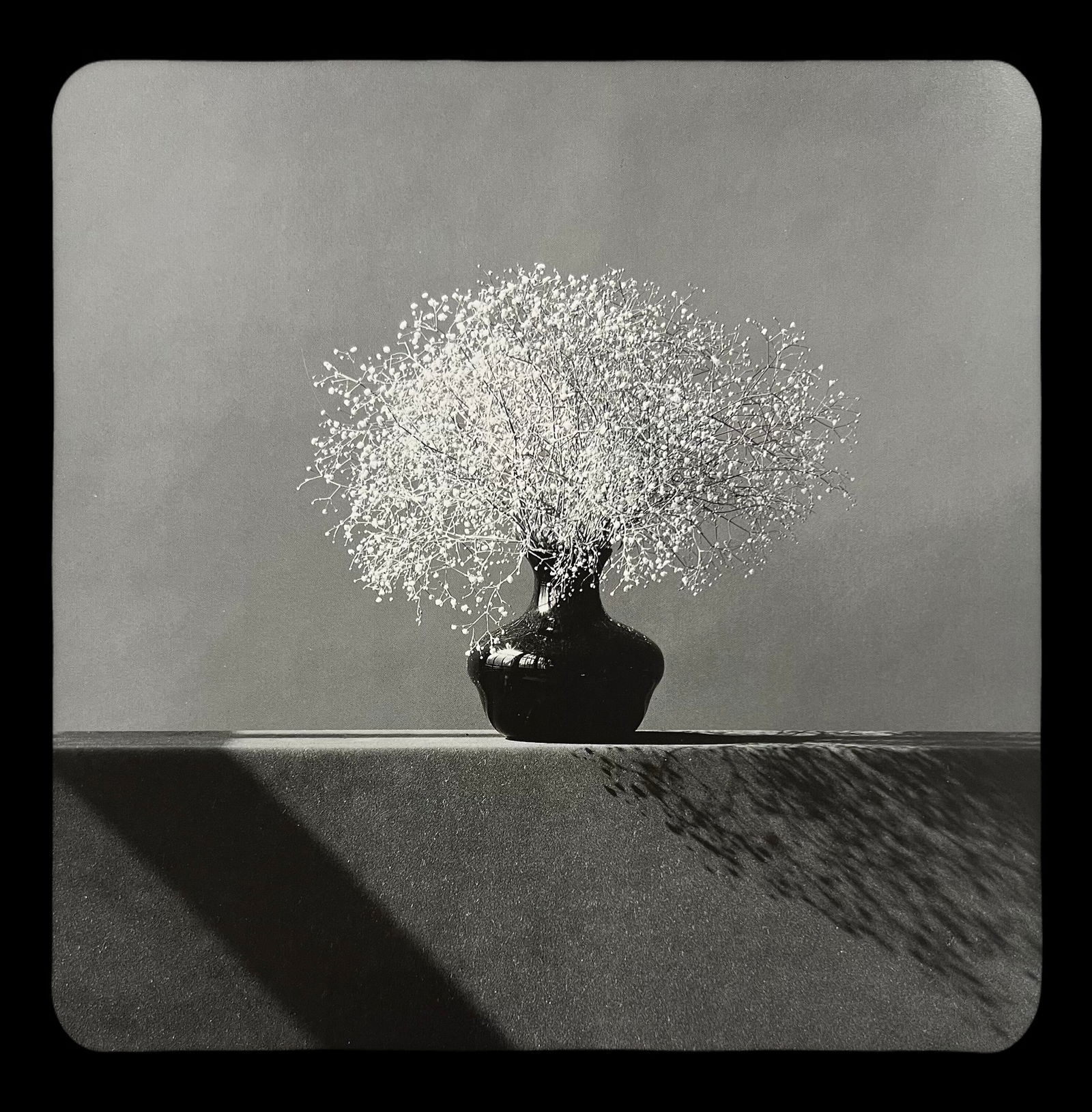 Robert Mapplethorpe, Baby's Breath, 1982: Photographer: Robert Michael Mapplethorpe (1946-1989) was an American photographer, best known for his black-and-white photographs. His work featured an array of subjects, including celebrity portrait