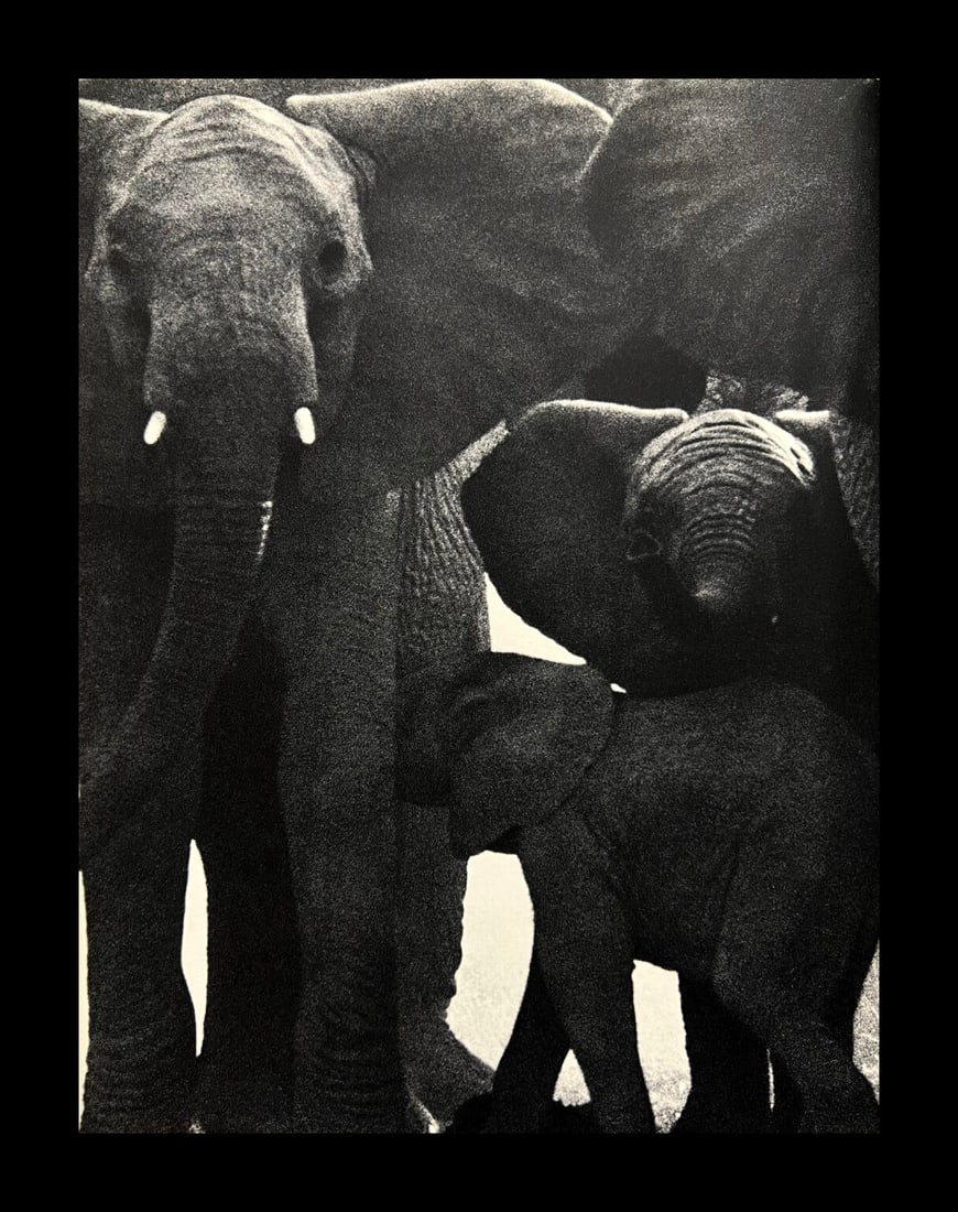 Peter Hill Beard, Facing The Enemy, 1960s: Photographer: Peter Hill Beard (January 22, 1938 – March 31 / April 19, 2020) was an American artist, photographer, diarist, and writer who lived and worked in New York City, Montauk and Kenya. His