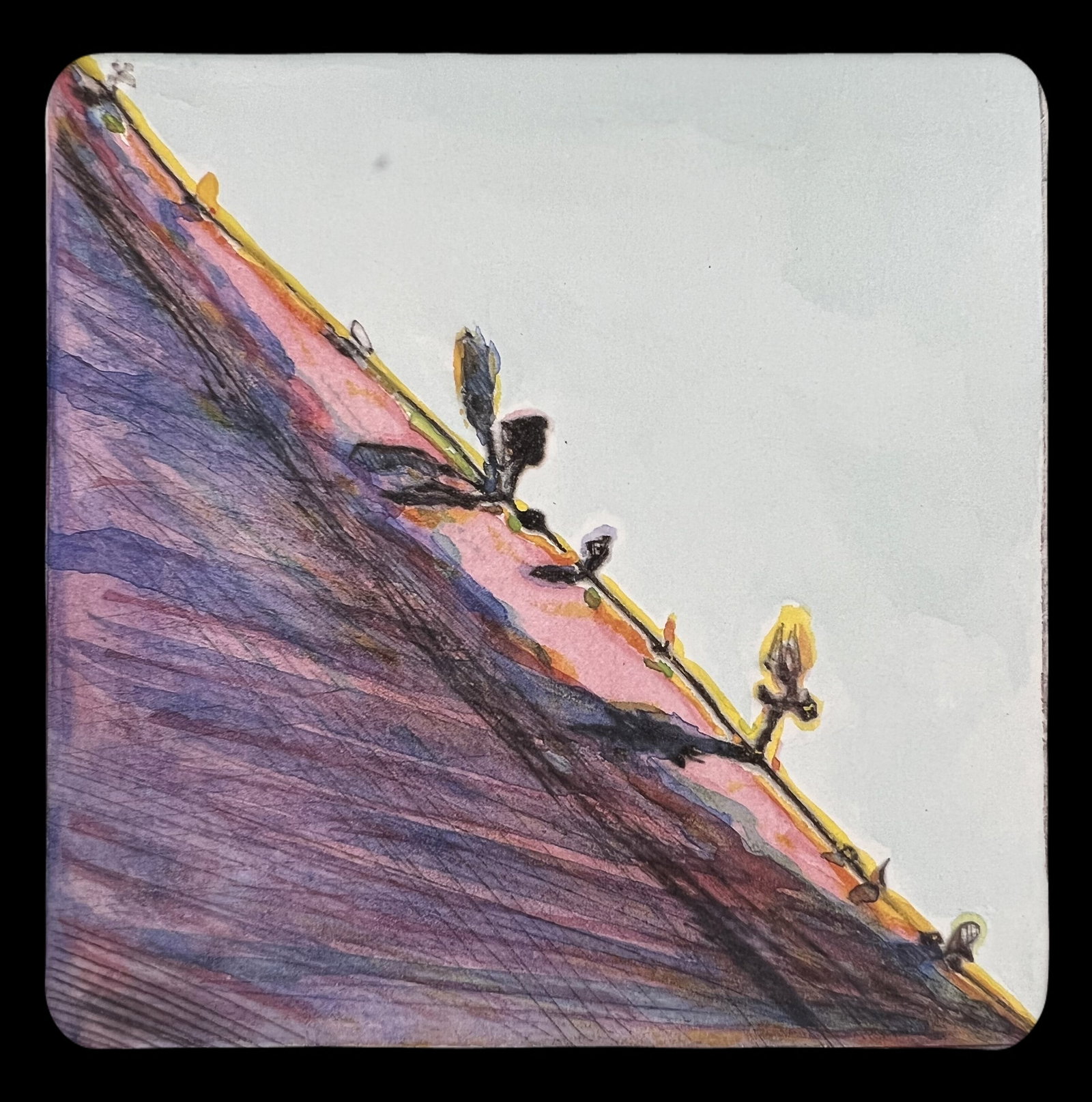Wayne Thiebaud, Steep Ridge, 1986 (1 of 1)