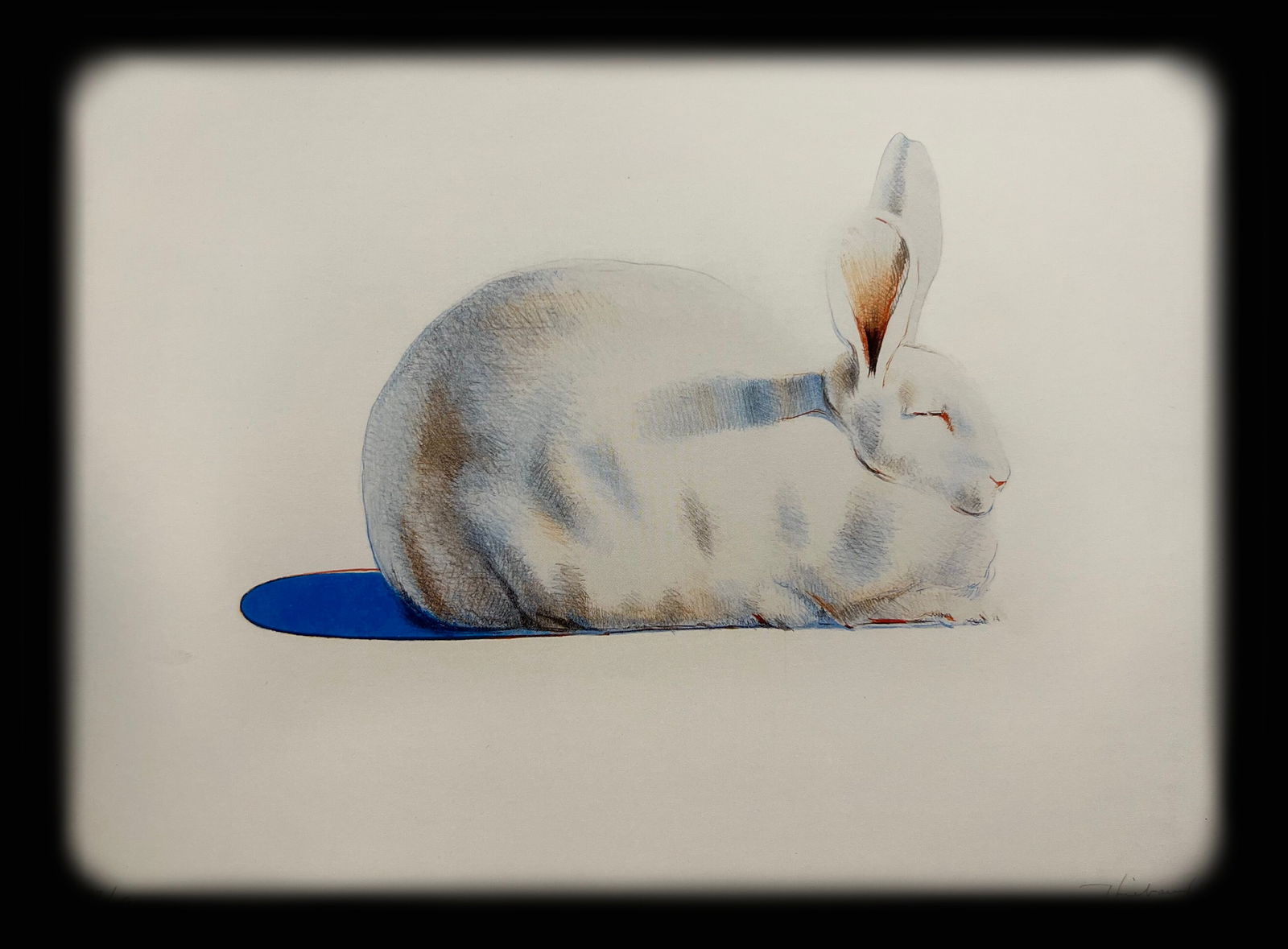 Wayne Thiebaud, Rabbit, 1971 (1 of 1)