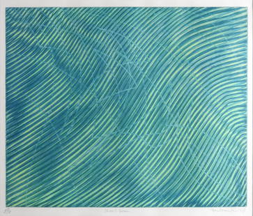 Stanley William HAYTER (1901-1988): Stanley William HAYTER (1901-1988) : Shoal green. Gravure en couleurs. SignÃ©, datÃ© 67, titrÃ© et numÃ©rotÃ© 5/5. 43 x 49 cm. Dimensions avec le cadre 67 x 67 cm. Provenance: successions