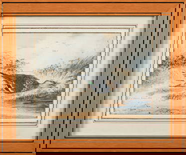 Ferdinand-Philippe dâ€™Orleans (1810-1842) : Canard mort. Aquarelle signee et datee en bas a gauche: Ferdinand-Philippe dâ€™Orleans (1810-1842) : Canard mort. Aquarelle signee et datee en bas a gauche 09 mars 1828. 16 x 22 cm. Cadre pitchpin. (rousseurs)Ferdinand-Philippe, duc de Chartres,