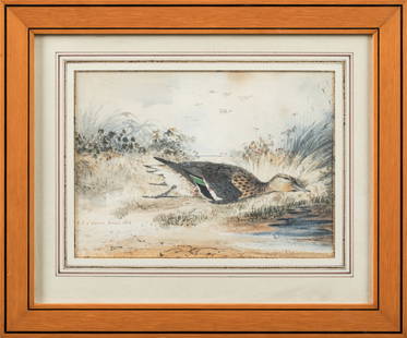 Ferdinand-Philippe dâ€™Orleans (1810-1842) : Canard mort. Aquarelle signee et datee en bas a gauche: Ferdinand-Philippe dâ€™Orleans (1810-1842) : Canard mort. Aquarelle signee et datee en bas a gauche 09 mars 1828. 16 x 22 cm. Cadre pitchpin. (rousseurs)Ferdinand-Philippe, duc de Chartres,