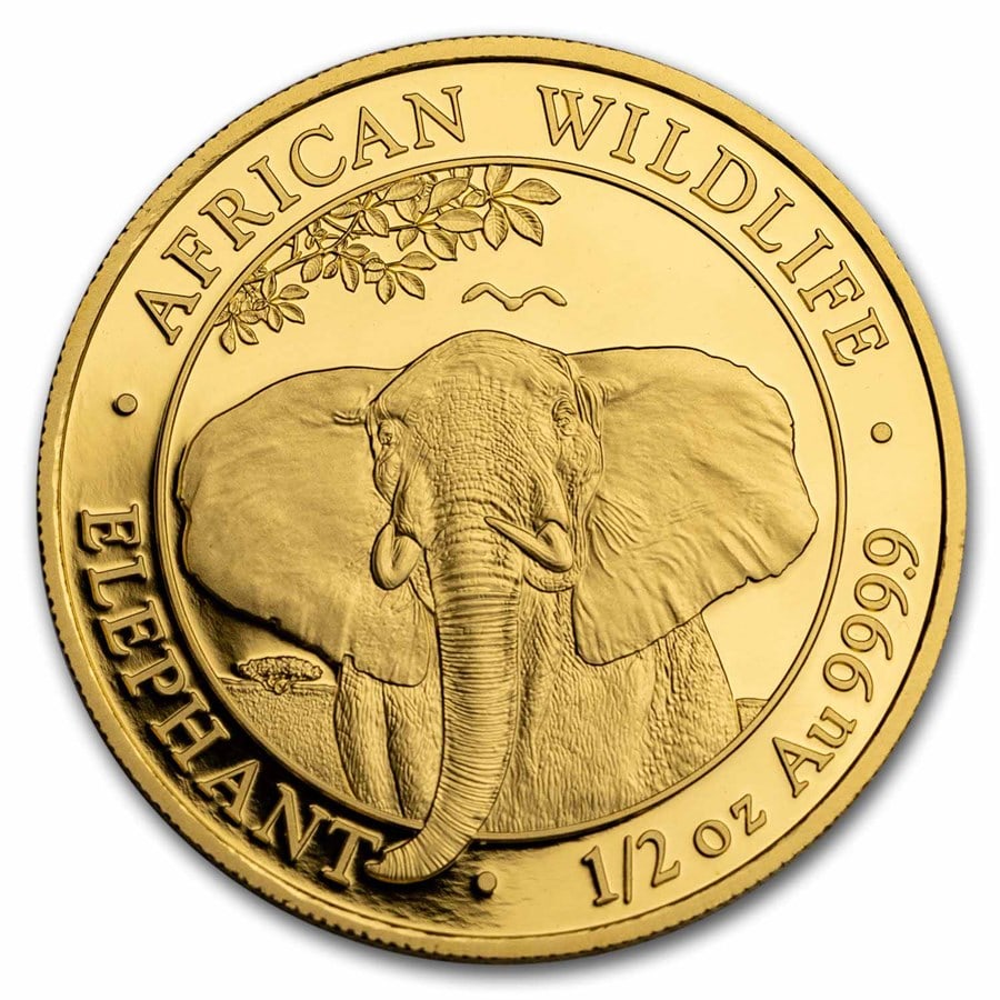 2021 Somalia 1/2 oz Gold African Elephant BU (1 of 4)