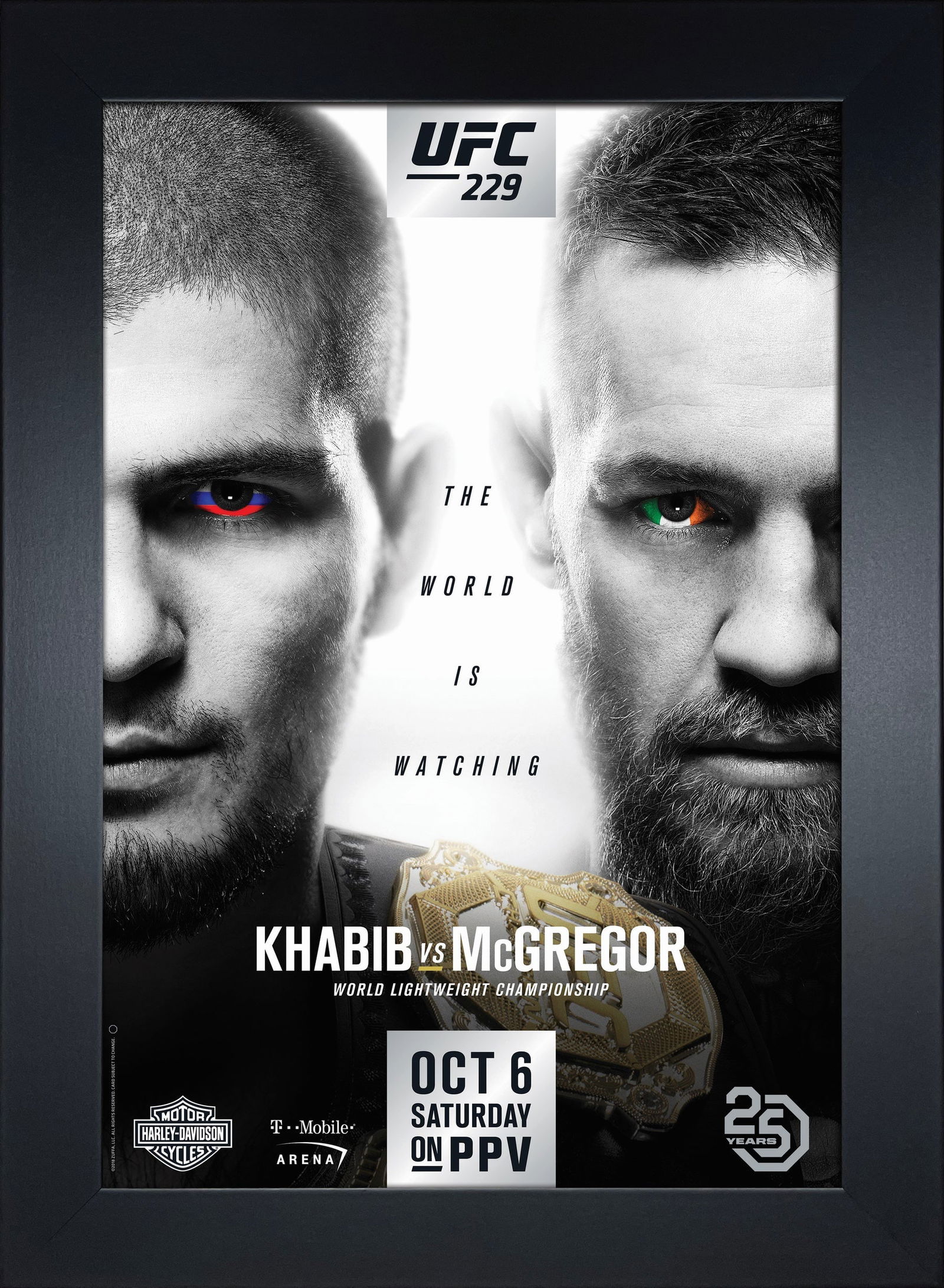 ufc 229: khabib vs mcgregor (1 of 1)