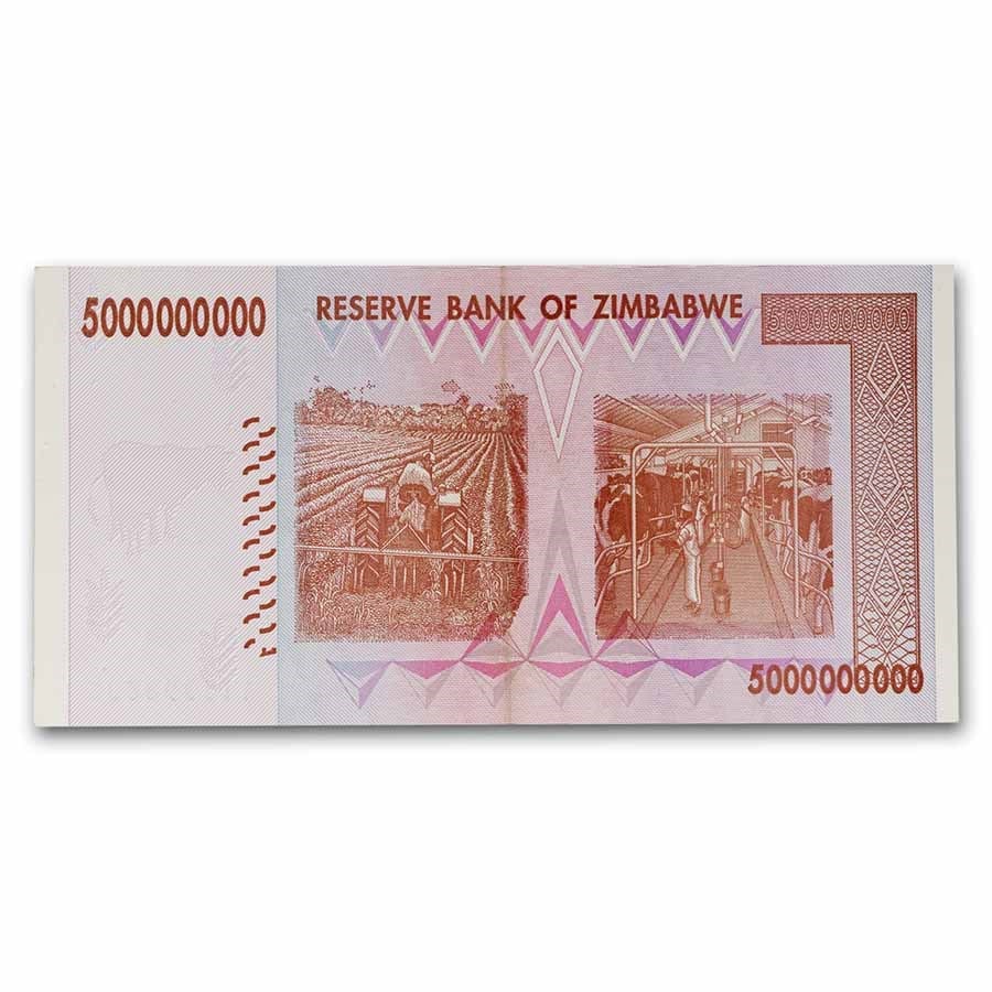 2008 Zimbabwe 5 Billion Dollars Rock (1 of 2)