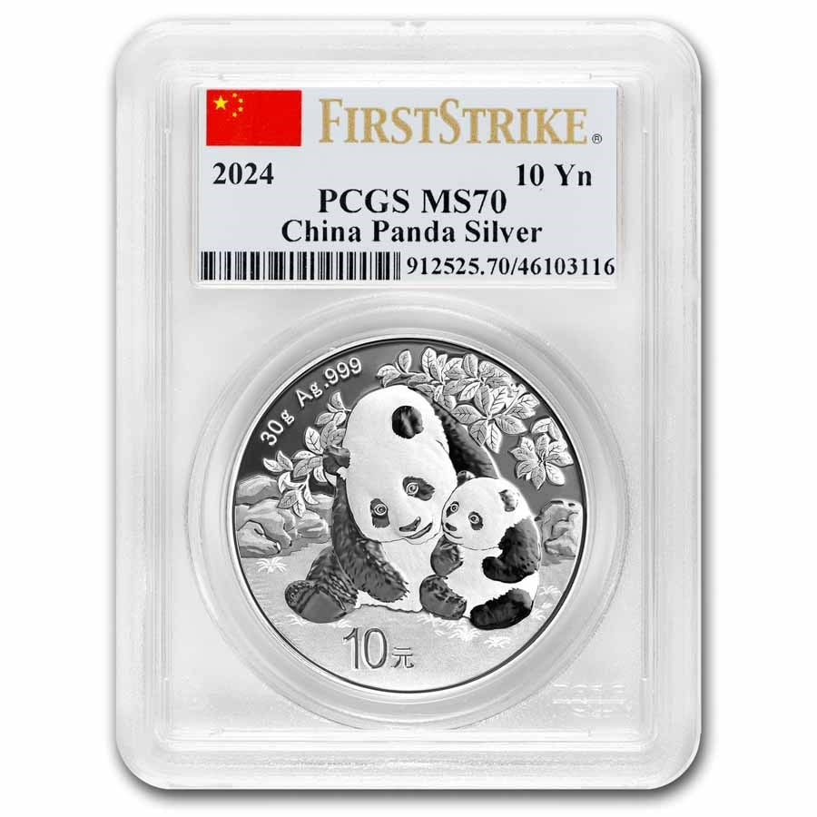 2024 China 30 gram Silver Panda (1 of 3)