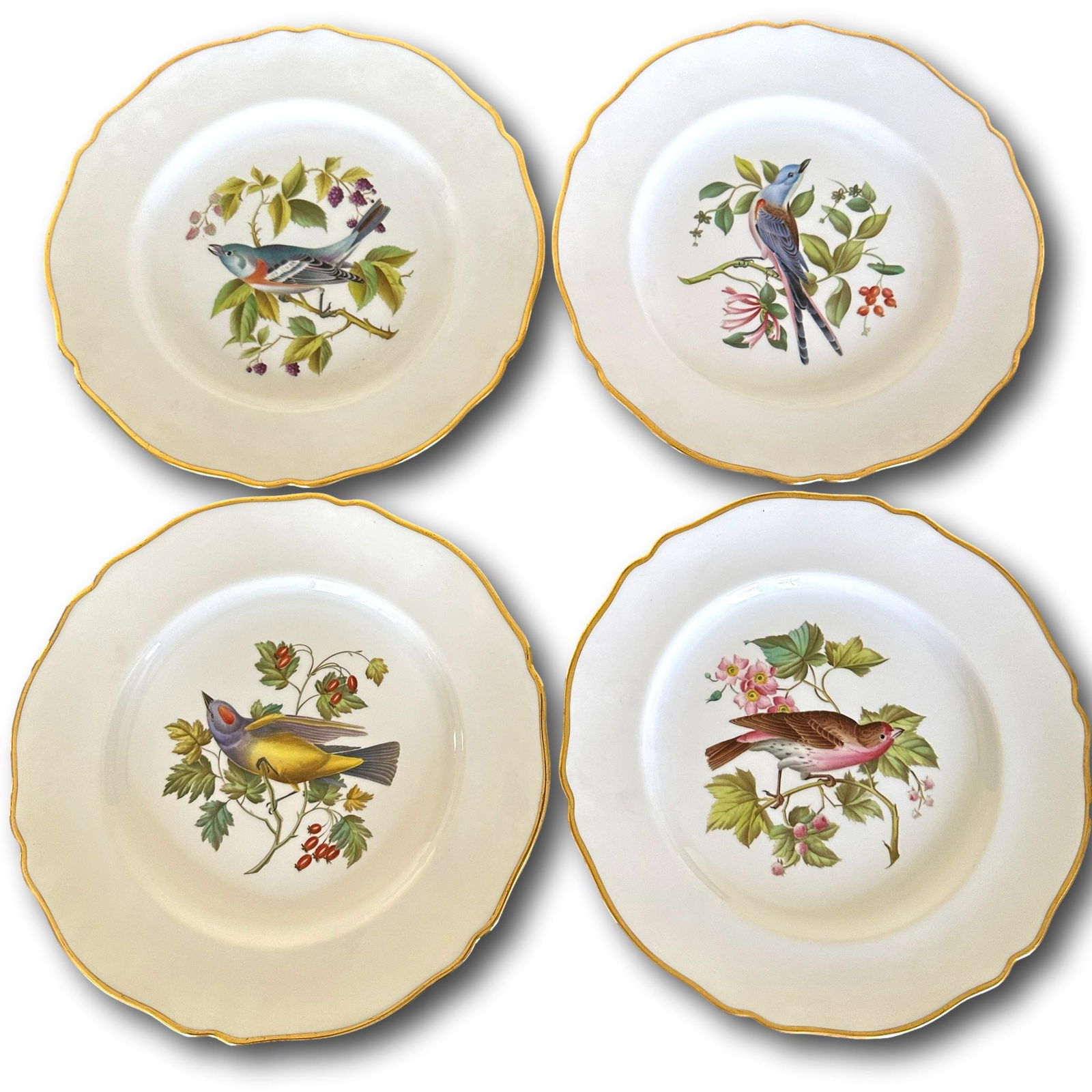 Set of 12 Copeland Spode Audubon Plates (1 of 10)