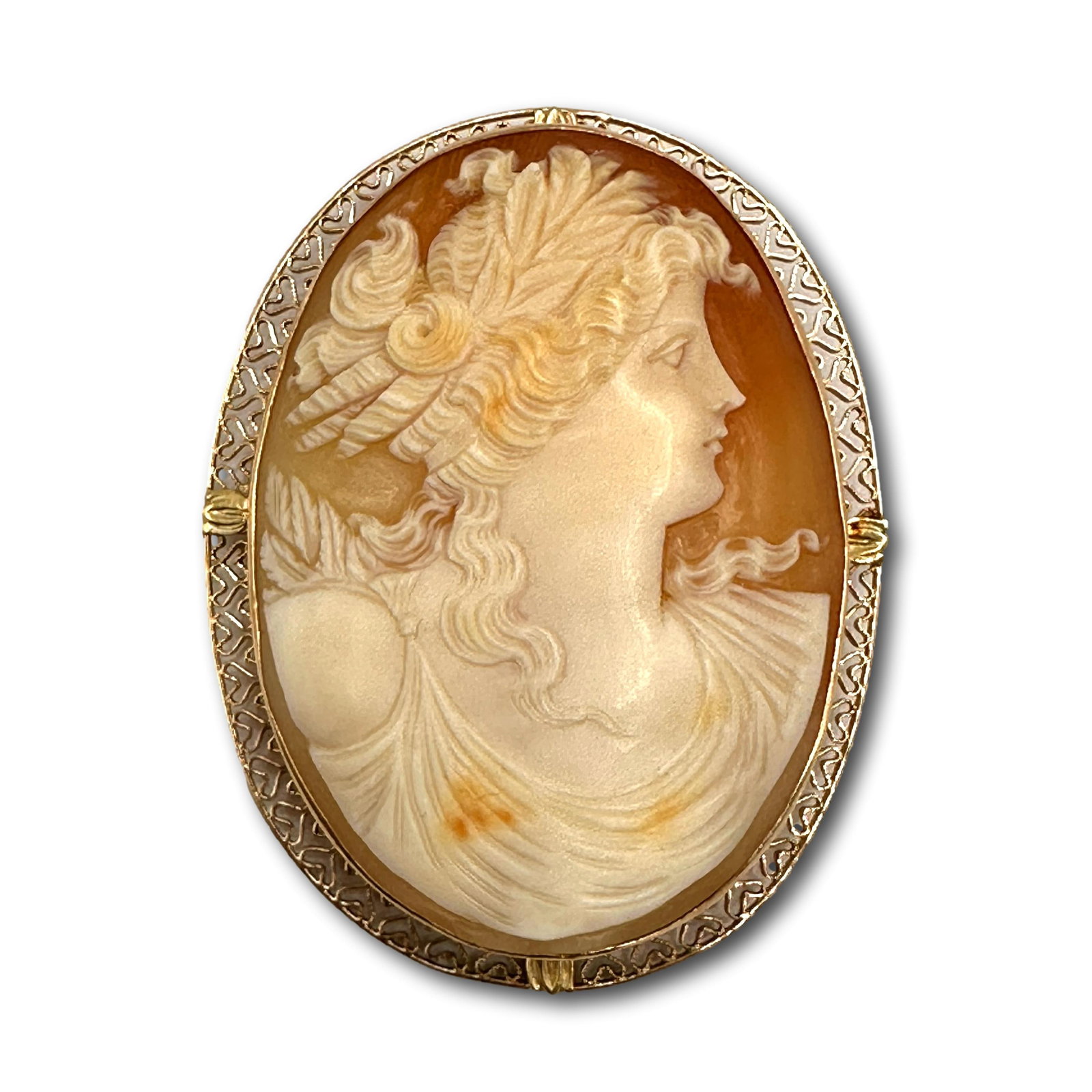 Huge 14K Gold Cameo Brooch/Pendant (1 of 7)