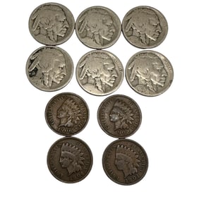 Lot of Buffalo Nickels and Indian Head Pennies