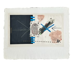 James Coignard "Espace Lumiere" Original Color Intaglio