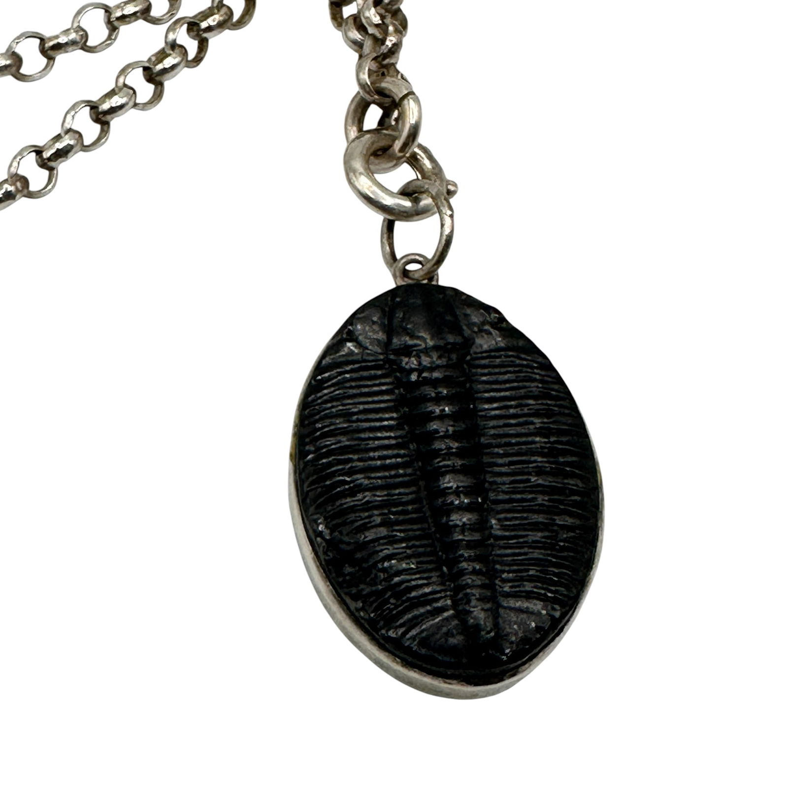 Fossil Pendant on Sterling Silver Chain (1 of 7)