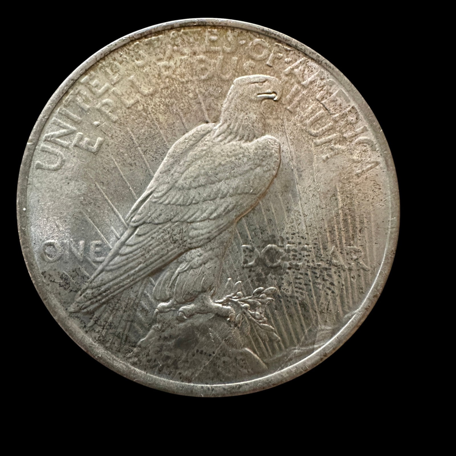Two 1923 Peace Silver Dollars - 5