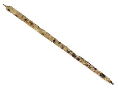 12th C. Excavated Crusader Sword Blade