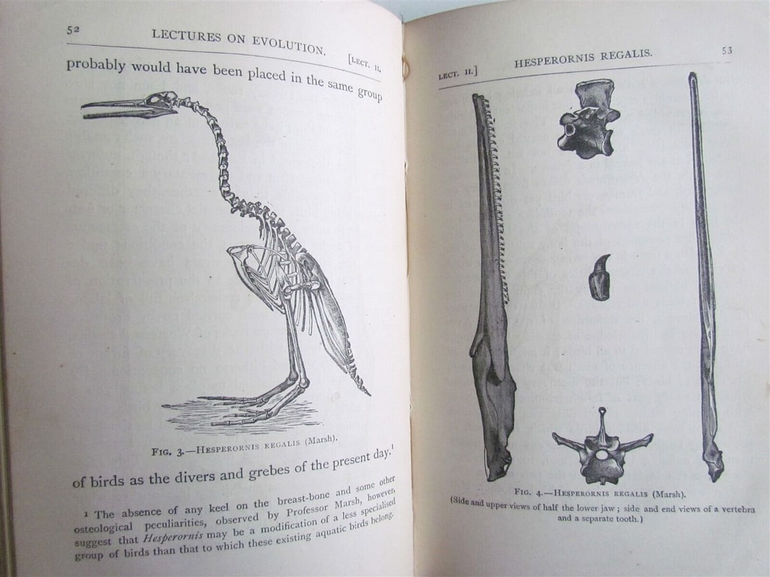 1877 AMERICAN ADDRESSES w LECTURE on STUDY of BIOLOGY HUXLEY antique ILLUSTRATED: AMERICAN ADDRESSES with LECTURE on the STUDY of BIOLOGY by THOMAS HUXLEY. New York: D. Appleton & Company. 1877. FIRST AMERICAN EDITION. Size 5 1/4 by 8". ILLUSTRATED. [6], 164, 8 pp. Hard bound. Orig