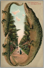 PALM BEACH FL OCEAN AVE. ALLIGATOR BORDERS ANTIQUE POSTCARD