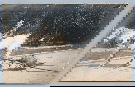 AMERICAN INDIAN BOY HORSE TRAVOIS ANTIQUE REAL PHOTO POSTCARD RPPC