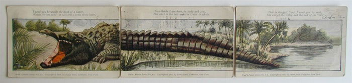 HULD'S PUZZLE SERIES 1-C INSTALLMENT ALLIGATOR 3 PARTS 1905 ANTIQUE POSTCARD
