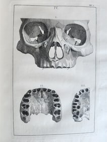 1754 ANATOMY DENTISTRY BOTANY antique ILLUSTRATED Continet anatomica physiology