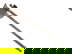 item-203662074=10