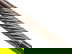 item-203662074=19