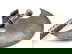item-203662074=20