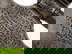 item-203662074=4