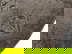 item-203662074=5