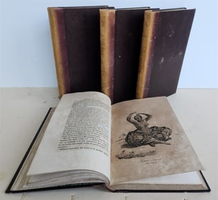 1839 URANIE VOYAGE 4 VOLS antique ILLUSTRATED Canaries Brazil Sandwich Islands