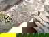 item-205503932=12