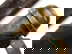 item-205503932=6