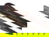 item-205503932=7